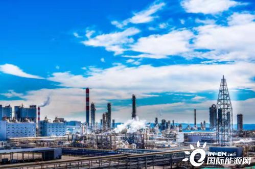 能源保障能力躍上新臺階 推動三大目標協(xié)調優(yōu)化發(fā)展