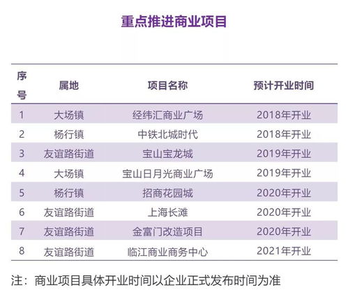 寶山這樣描繪發(fā)展藍(lán)圖 制造業(yè) 公共服務(wù) 文化產(chǎn)品 商業(yè)項(xiàng)目...全方位解析
