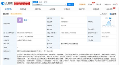 信息系統(tǒng)集成服務的全面解析
